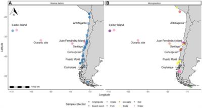 Microplastics Pollution in Chile: Current Situation and Future Prospects